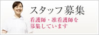 スタッフ募集