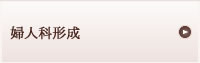 婦人科形成