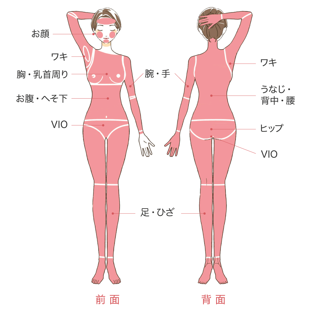施術部位