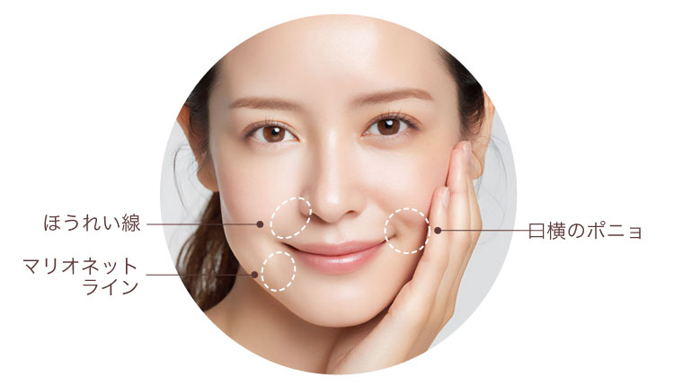 アフロディーテスレッドの適応部位