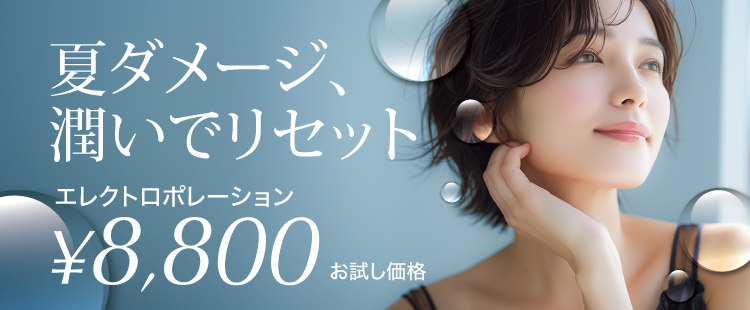 エレクトロポーション