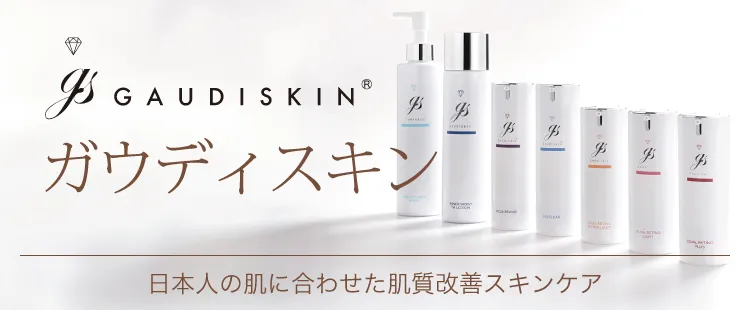 ガウディスキン