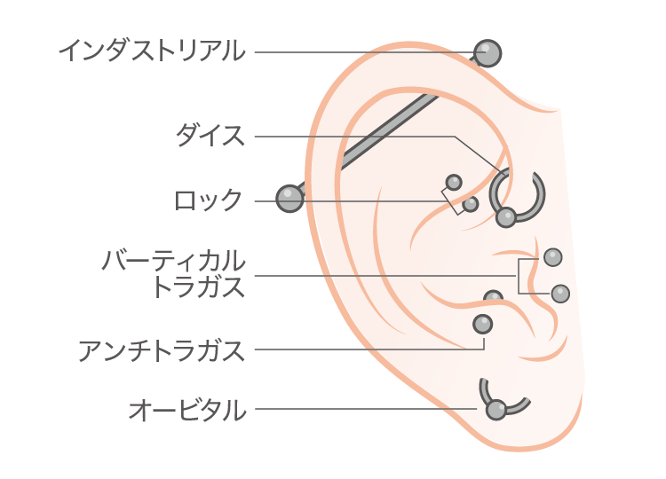 軟骨ピアスの位置