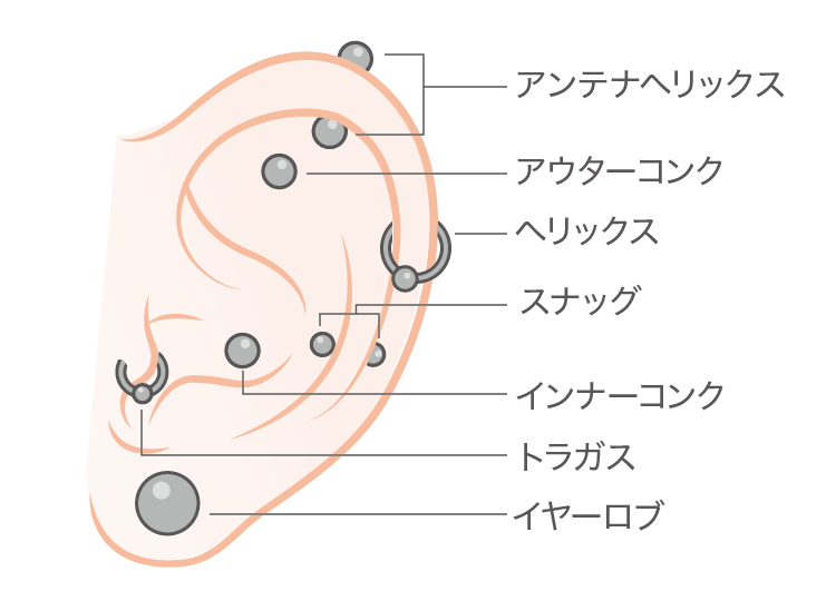 軟骨ピアスの位置